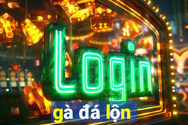 gà đá lộn