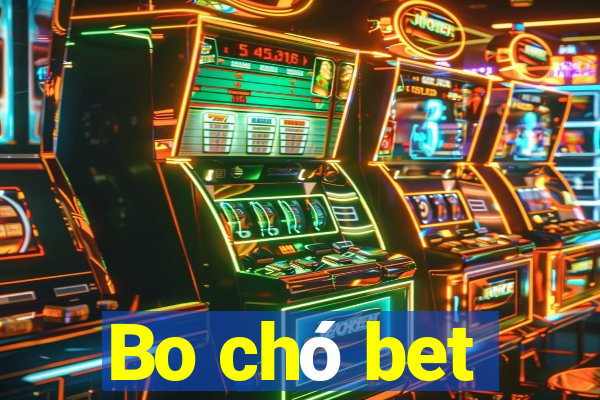 Bo chó bet