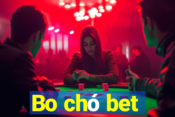 Bo chó bet