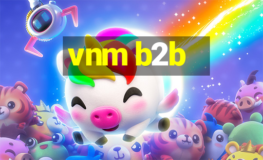 vnm b2b