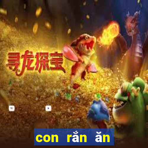 con rắn ăn thịt người