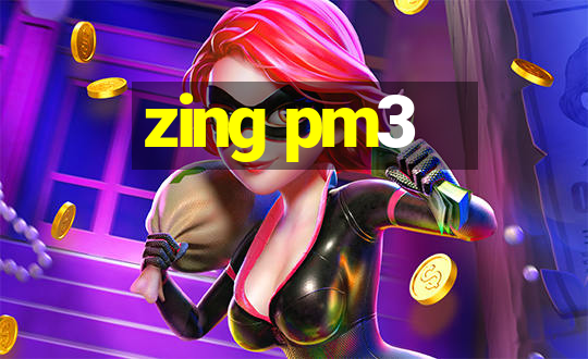 zing pm3