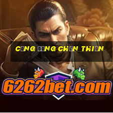 cộng đồng chơn thiện