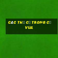 các thế cờ trong cờ vua