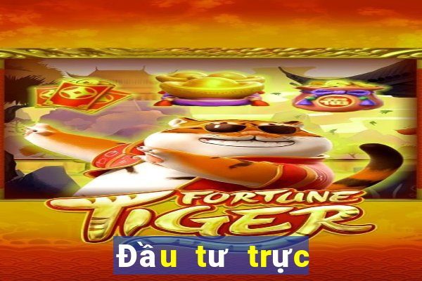 Đầu tư trực tuyến bắt buộc