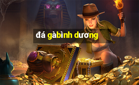 đá gà bình dương