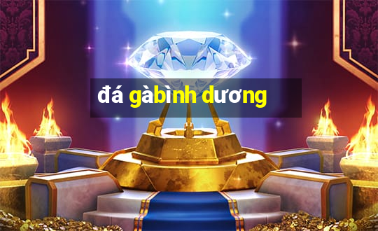 đá gà bình dương