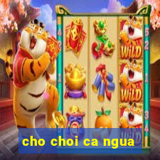 cho choi ca ngua