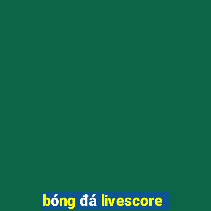 bóng đá livescore