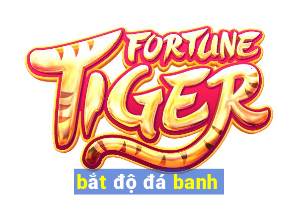 bắt độ đá banh