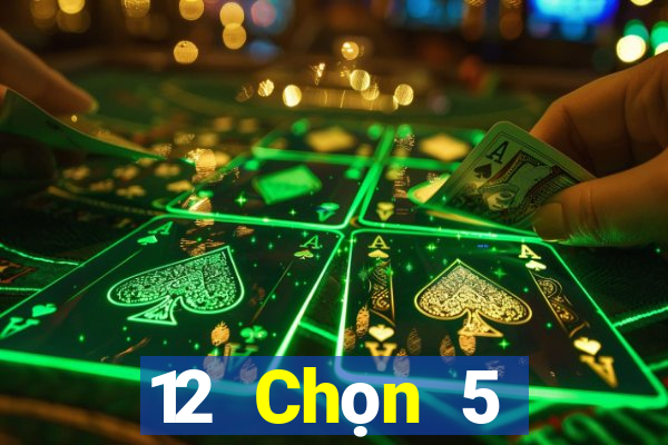 12 Chọn 5 Nhiệm kỳ Bốn