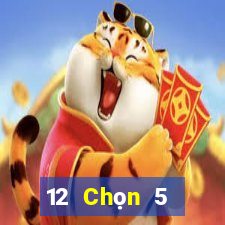 12 Chọn 5 Nhiệm kỳ Bốn