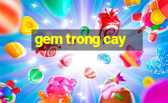 gem trong cay