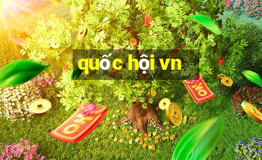 quốc hội vn