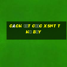 Cách đặt cược XSNT thứ bảy