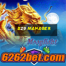 b29 manager