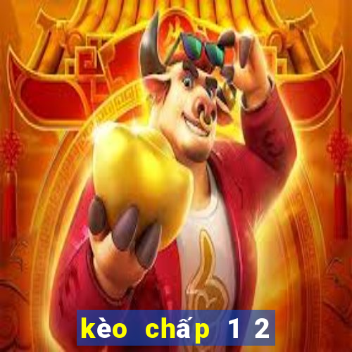 kèo chấp 1 2 là gì