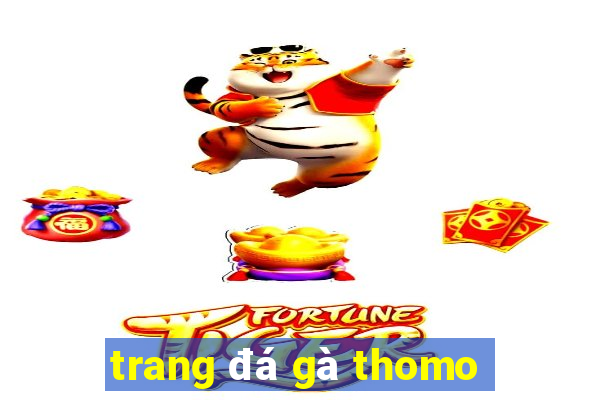 trang đá gà thomo