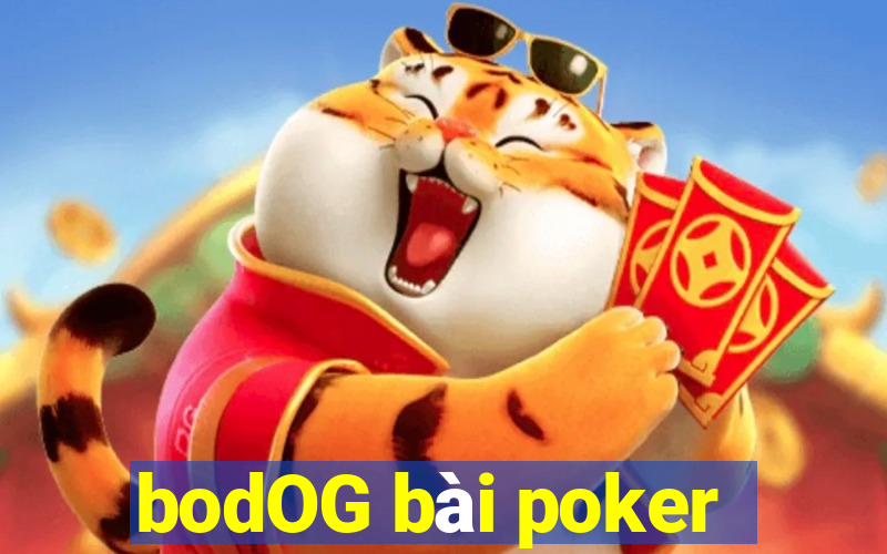 bodOG bài poker