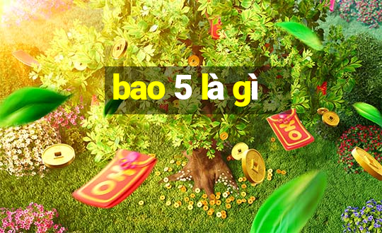 bao 5 là gì