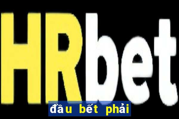 đầu bết phải làm sao