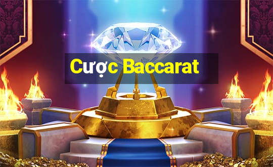 Cược Baccarat