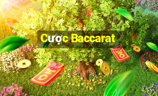 Cược Baccarat