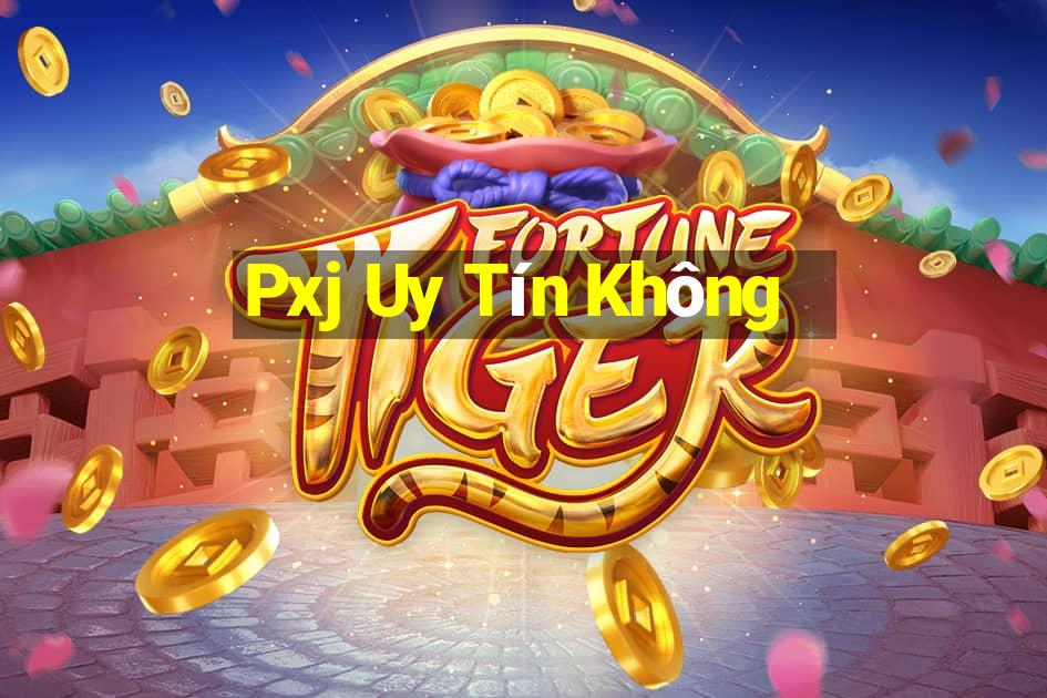 Pxj Uy Tín Không