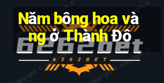 Năm bông hoa vàng ở Thành Đô