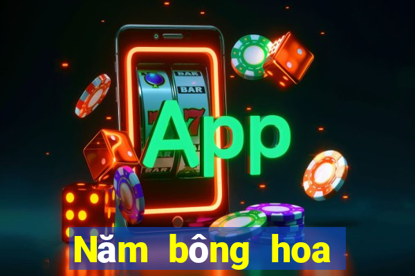 Năm bông hoa vàng ở Thành Đô