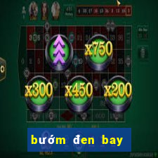 bướm đen bay vào nhà đánh con gì