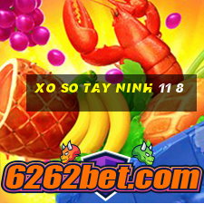 xo so tay ninh 11 8