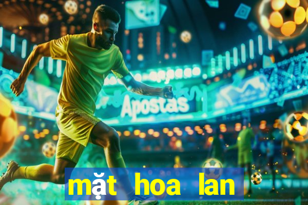 mặt hoa lan bệt ma bó