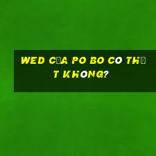 wed của Po Bo có thật không?