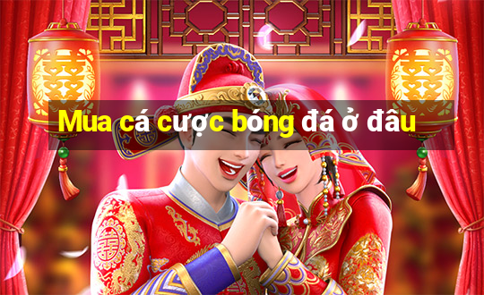 Mua cá cược bóng đá ở đâu