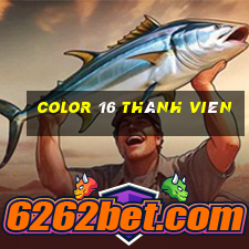 Color 16 thành viên