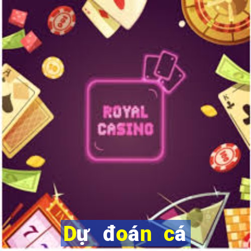 Dự đoán cá cược bóng đá hôm nay