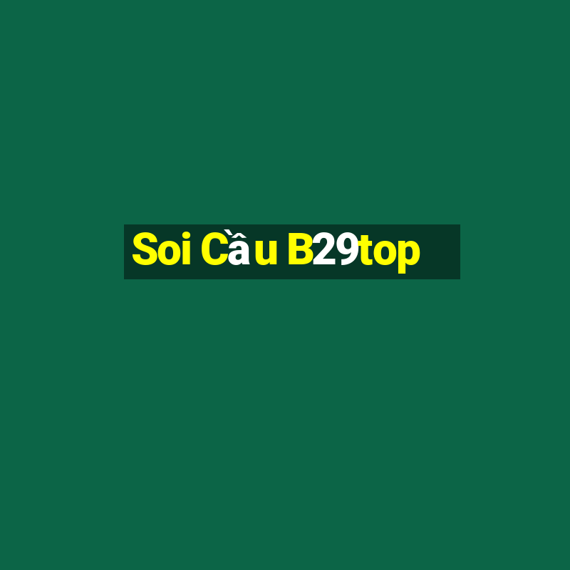 Soi Cầu B29top