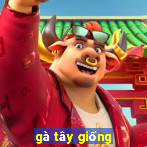 gà tây giống