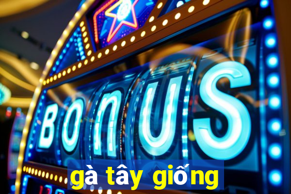 gà tây giống