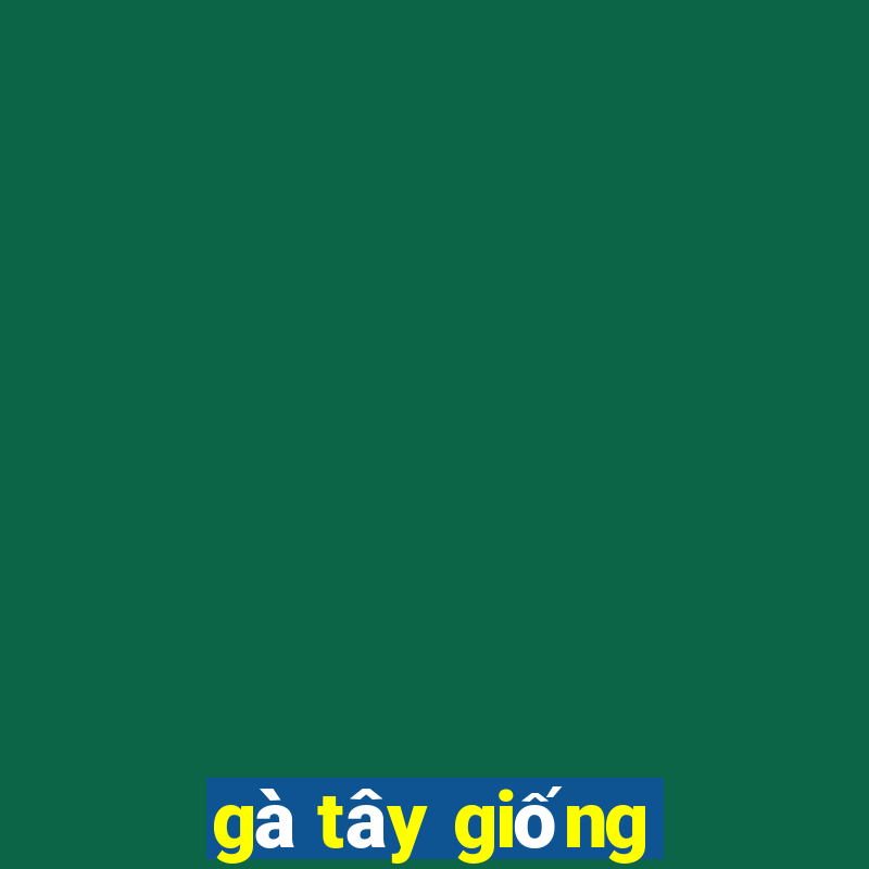 gà tây giống