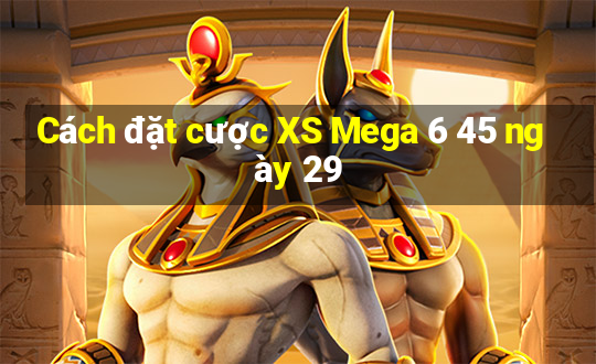 Cách đặt cược XS Mega 6 45 ngày 29