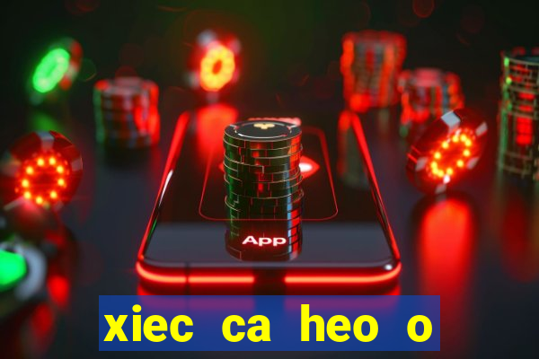 xiec ca heo o quan 5