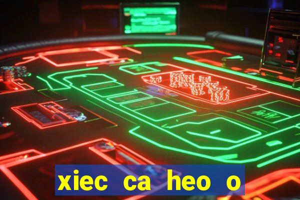 xiec ca heo o quan 5