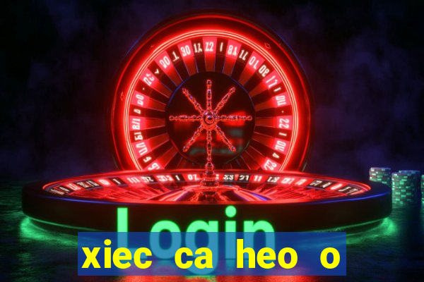 xiec ca heo o quan 5