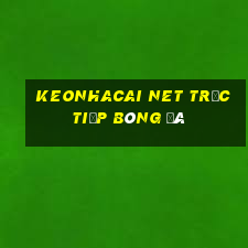 keonhacai net trực tiếp bóng đá