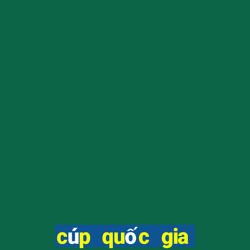 cúp quốc gia tứ kết