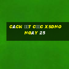 Cách đặt cược XSDNO ngày 25