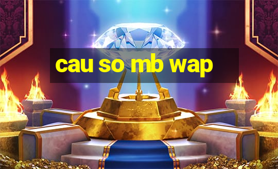 cau so mb wap