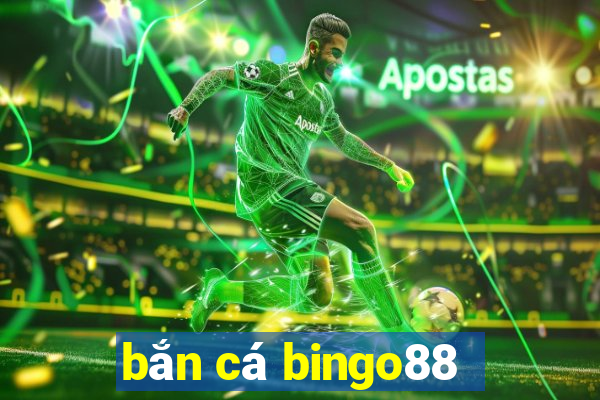 bắn cá bingo88